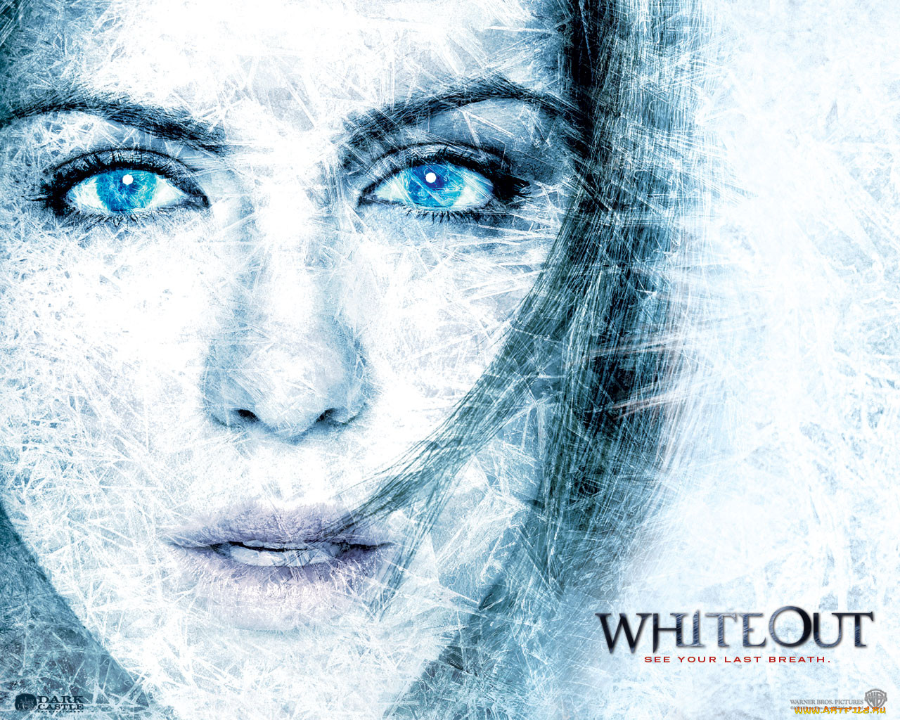 whiteout, , 